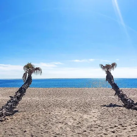 Les Brigantins-1 * Leucate